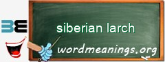 WordMeaning blackboard for siberian larch